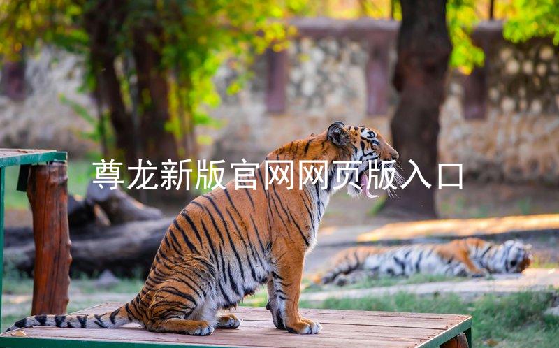尊龙新版官网网页版入口