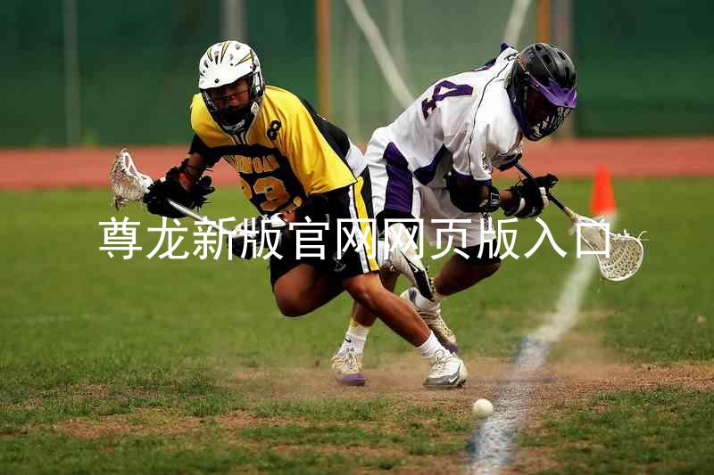 尊龙新版官网网页版入口