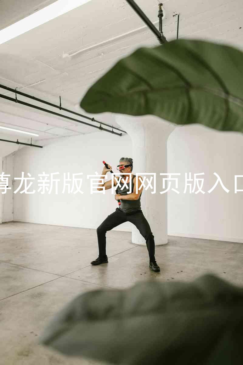 尊龙新版官网网页版入口